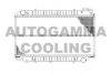 AUTOGAMMA 102204 Radiator, engine cooling